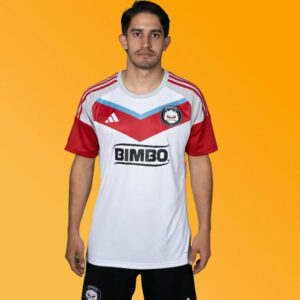 camiseta-persas